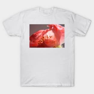 Peony flower display T-Shirt